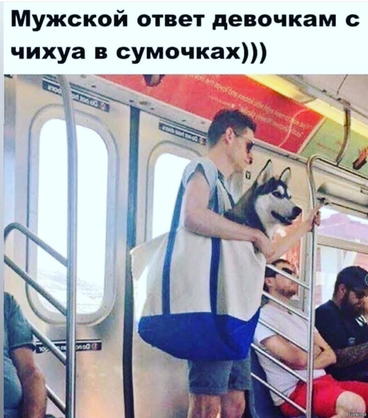 Собака в сумке в метро