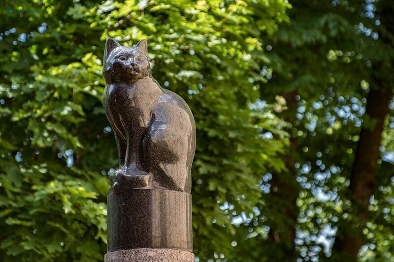 Кошачий Петербург: 10 главных мест, посвящённых кошкам