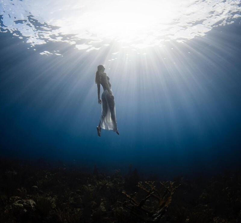 Захватывающие подводные фотографии Джейсона Вашингтона