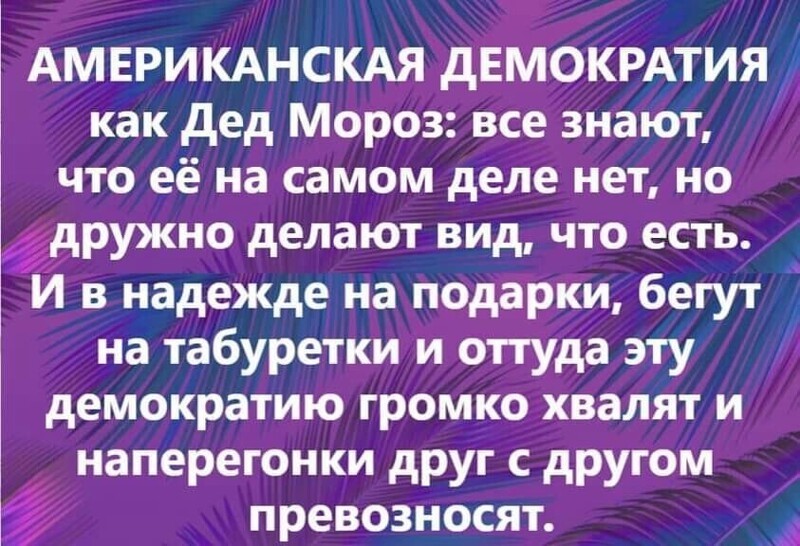 О политике и не только