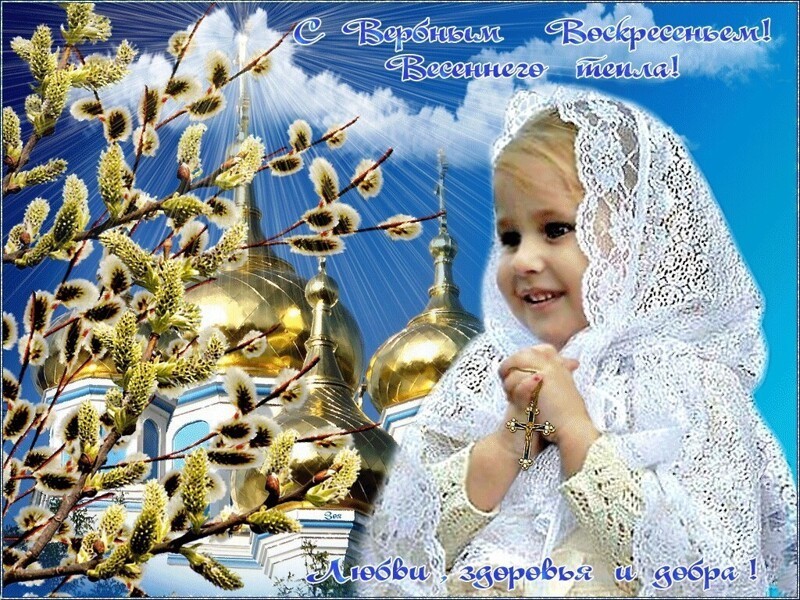 О политике и не только