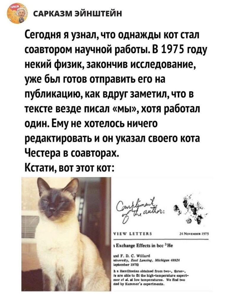 Очередной полит стёб из соц. сетей
