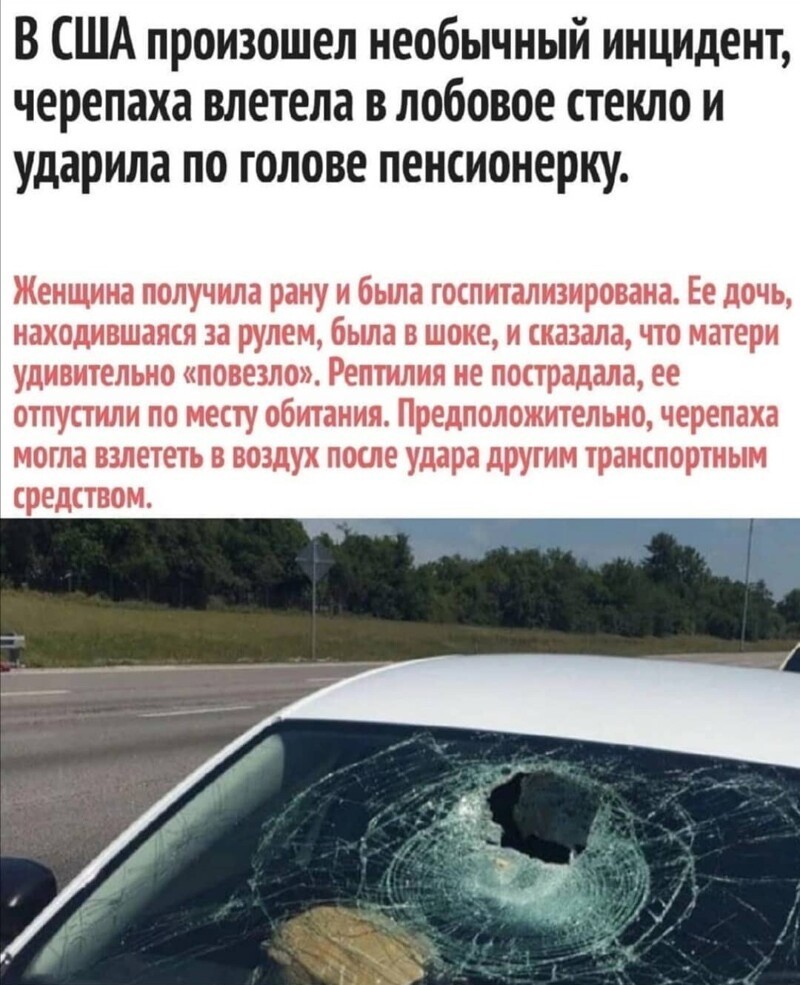 Очередной полит стёб из соц. сетей