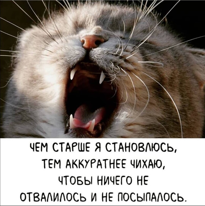Очередной полит стёб из соц. сетей