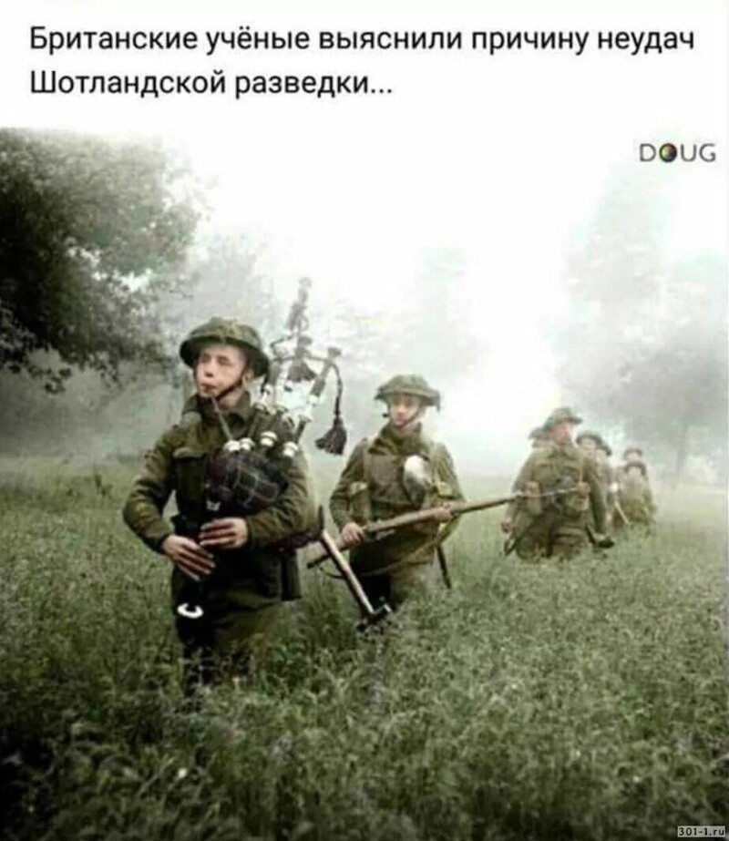 О политике и не только