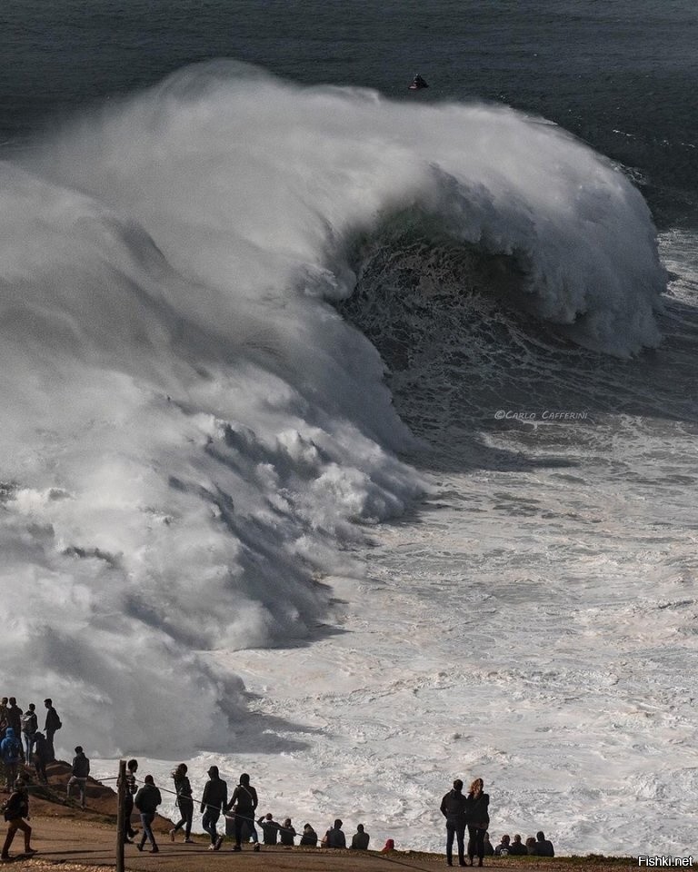 К чему снится шторм волны. Назаре Португалия волны. Каньон Назаре Португалия. Португалия волны 30 метров.