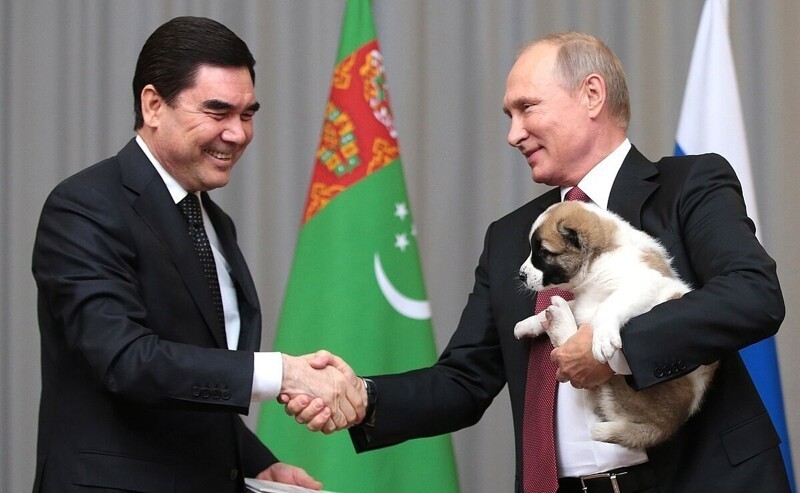 Туркмения ввела новый праздник - день алабая