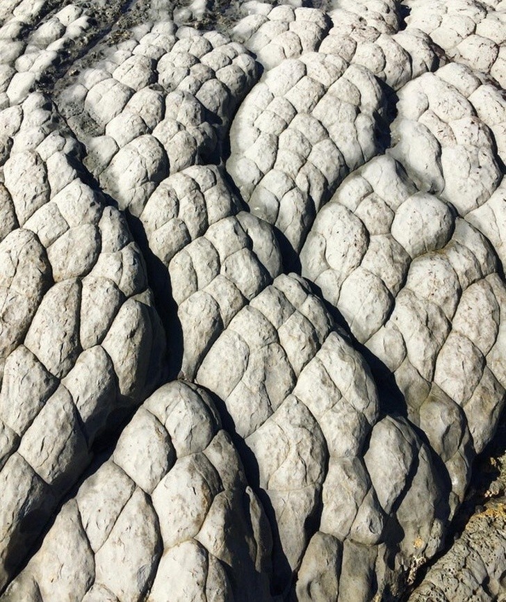 Камни, похожие на кожу дракона