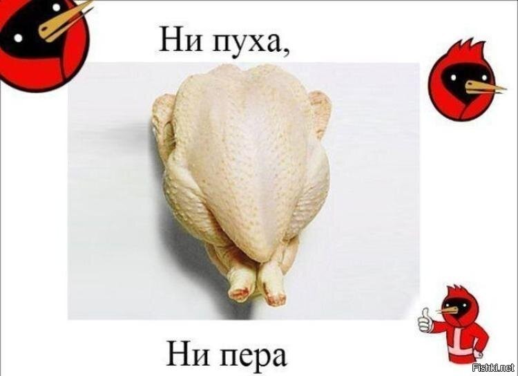 Не пух и не пера картинки