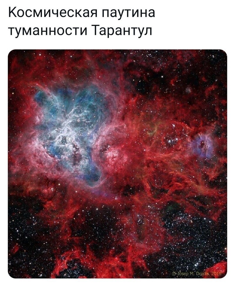 Новости с юмором от Toxoff.net