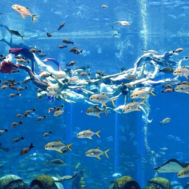 110 русалок собрались в одном бассейне в Китае