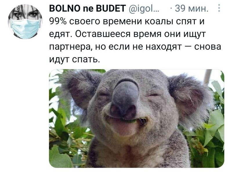Очередной выпуск полит.стёба и прочего