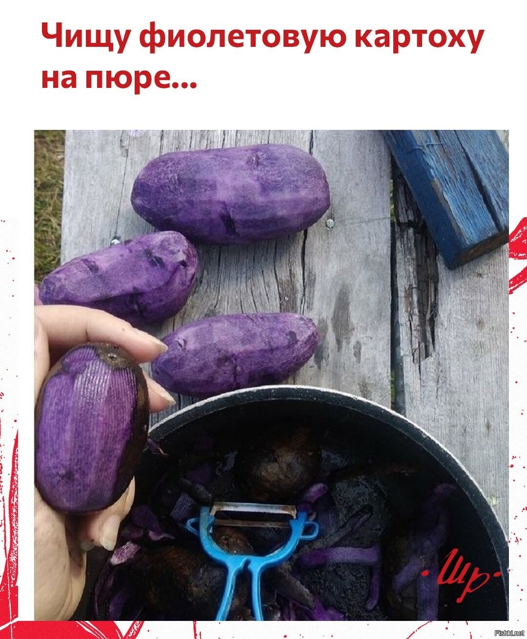 Мне не фиолетово