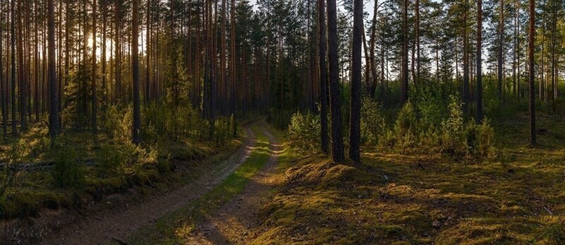 Красивые пейзажи сельской местности