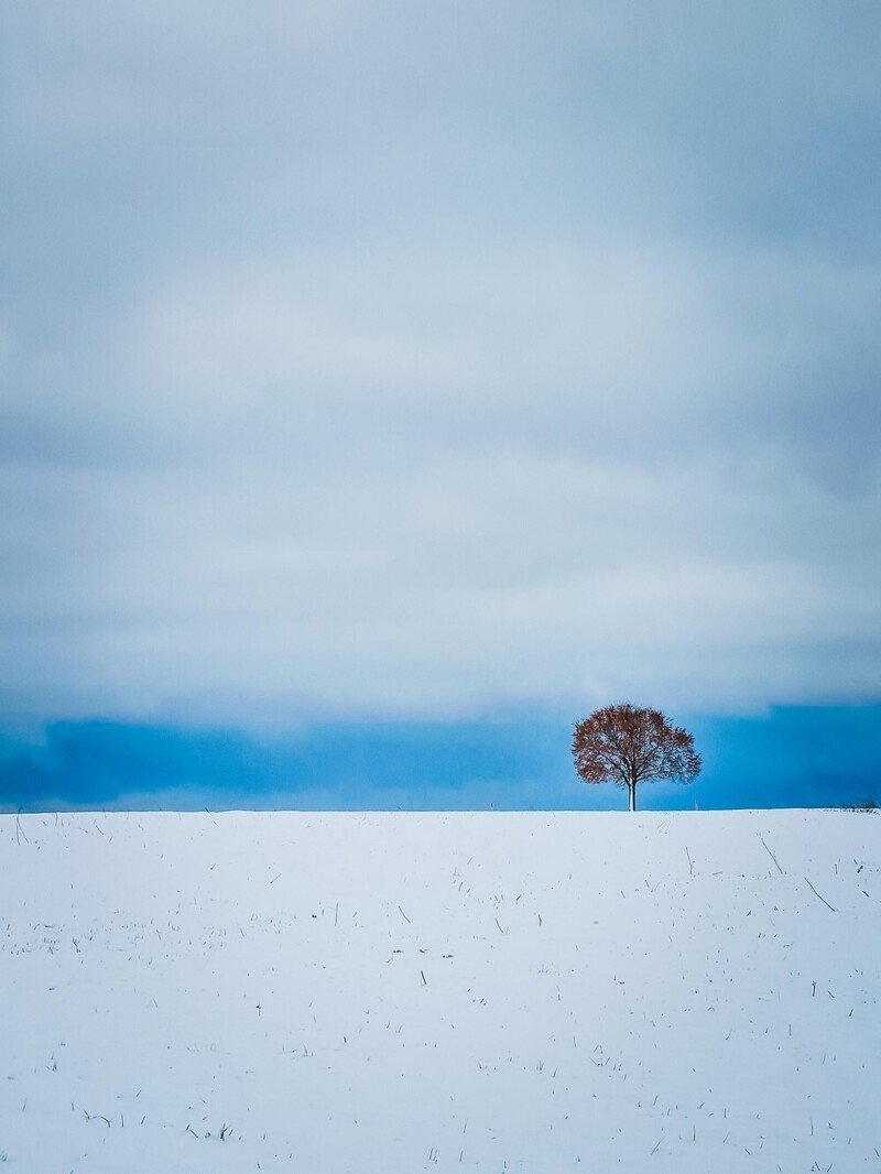 Фотоподборка