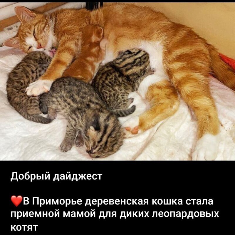 Очередной выпуск Политстёба и другое! 05.05.21