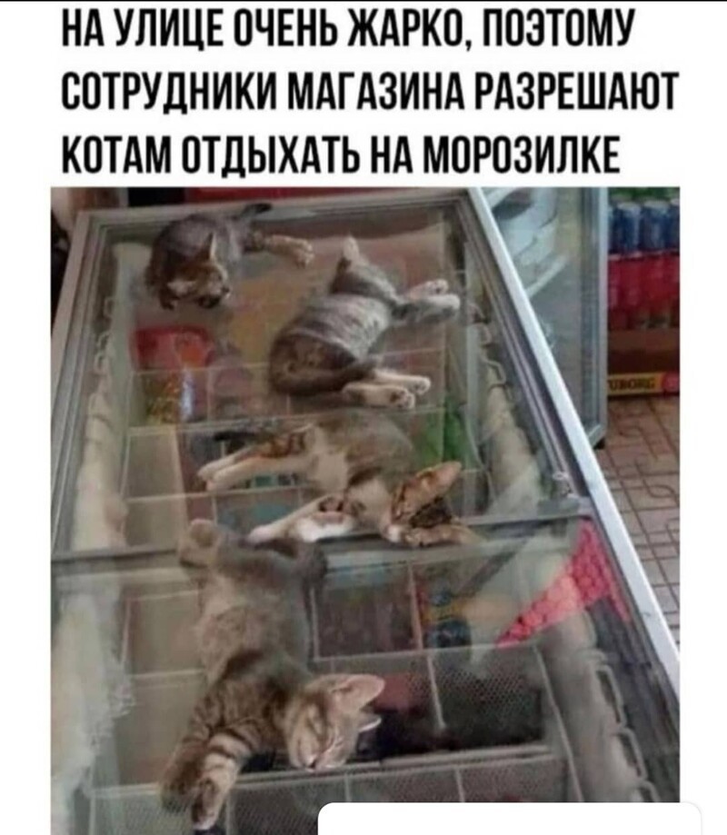 Очередной выпуск Политстёба и другое! 05.05.21
