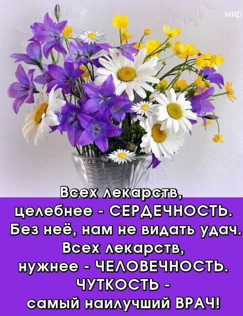 Вечерний выпуск историй о нас