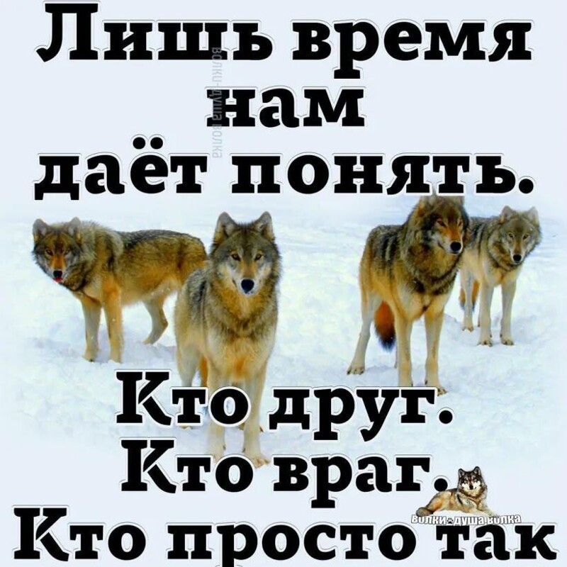 Вечерний выпуск историй о нас