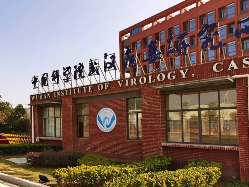 Уханьский институт вирусологии, провинция Хубэй, Китай. 2016