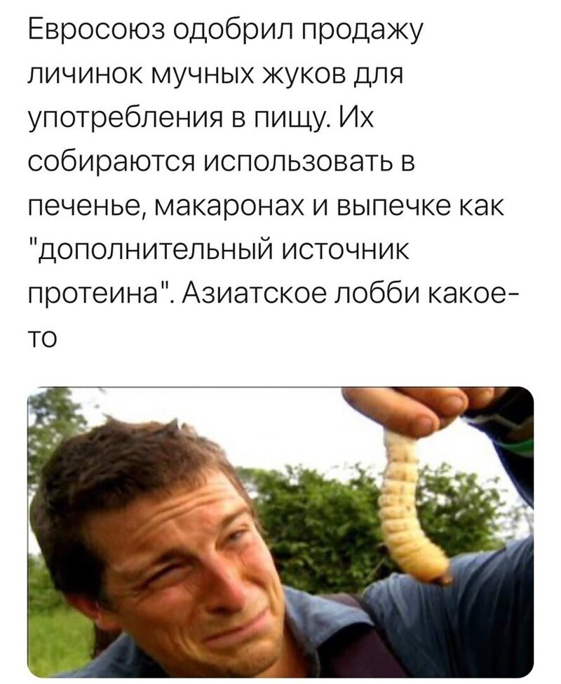 О политике и не только