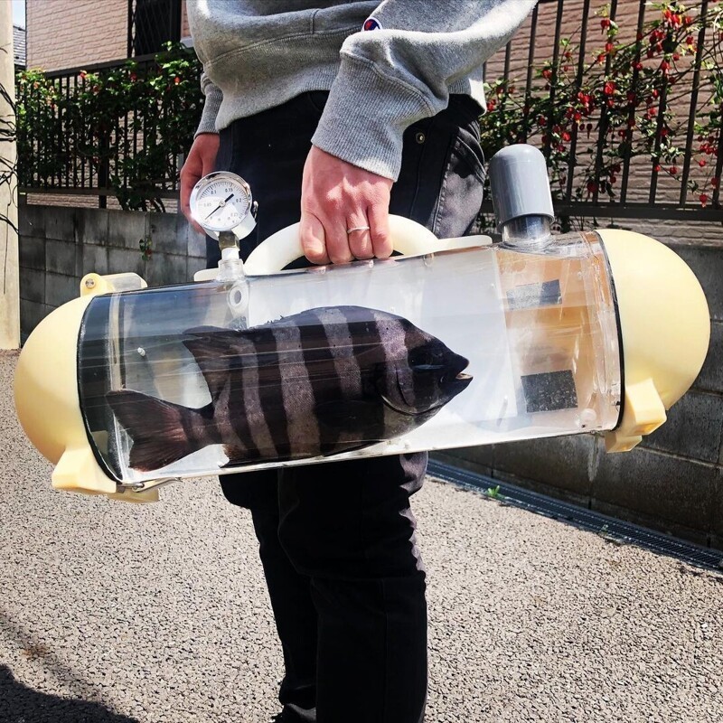 Японская компания разработала переносной аквариум