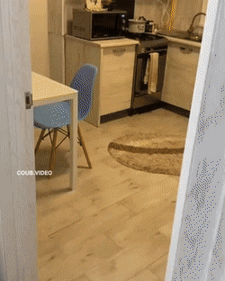 Застукан на месте преступления