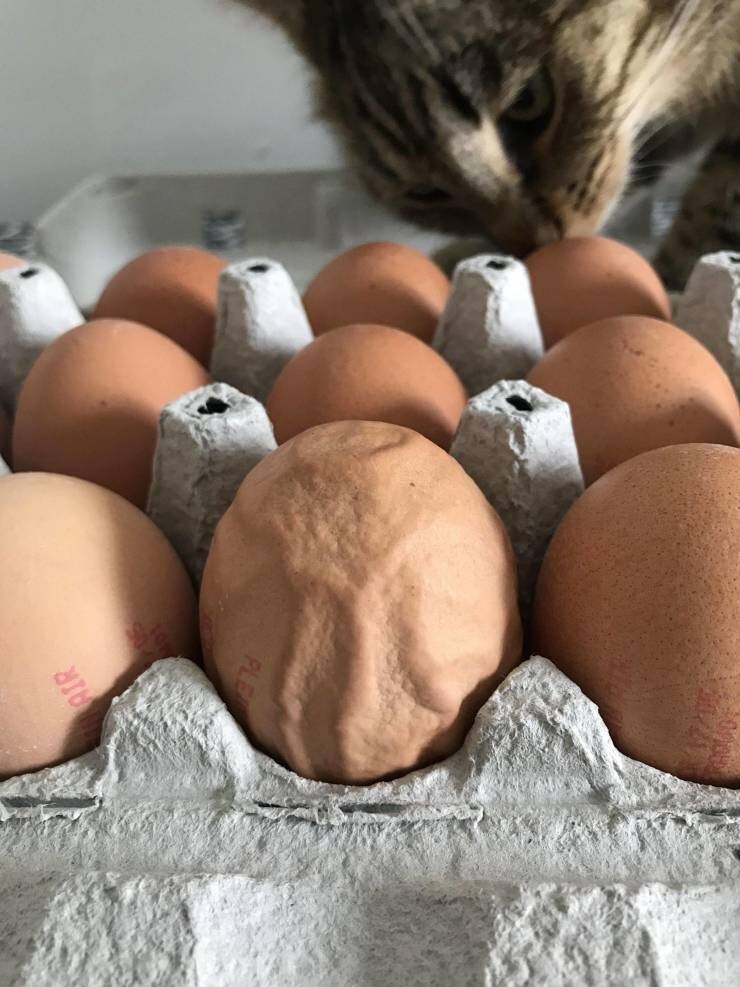 "Никогда не видели такого яйца!"