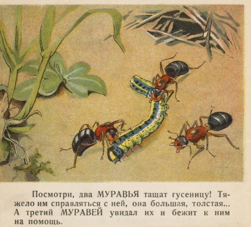 Это действительно "книга для малых ребят". 1927. А. Ватагина. Насекомые. . Изд Г. Ф. Мириманова