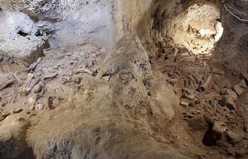 В пещере обнаружены останки 9 неандертальцев, которым около 100 тыс. лет