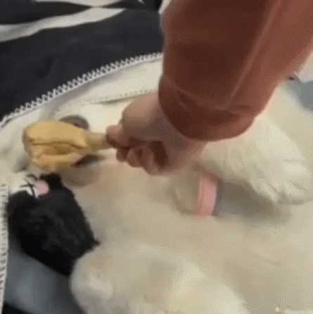 Ожидание и реальность