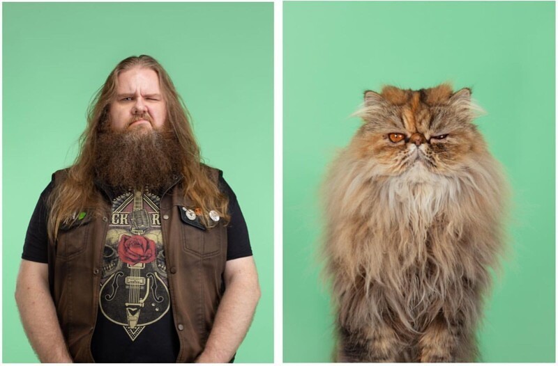 17 фото людей и кошек, которые очень похожи друг на друга