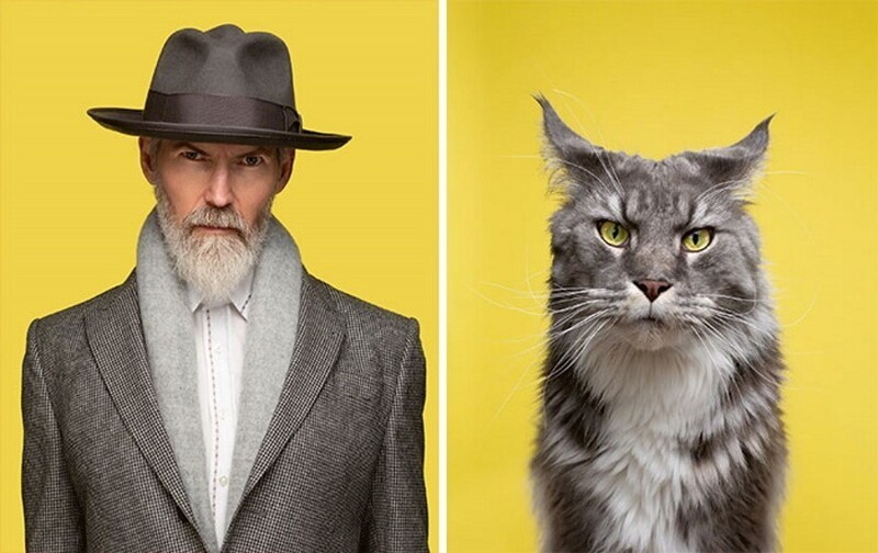 17 фото людей и кошек, которые очень похожи друг на друга