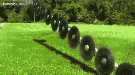 Как обрезают деревья.