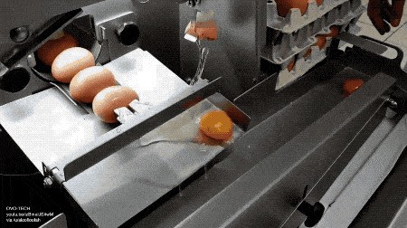 Машина, которая отделяет желтки от белков. 