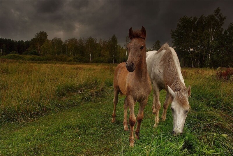 Живописные пейзажи фотографа Игоря Денисова