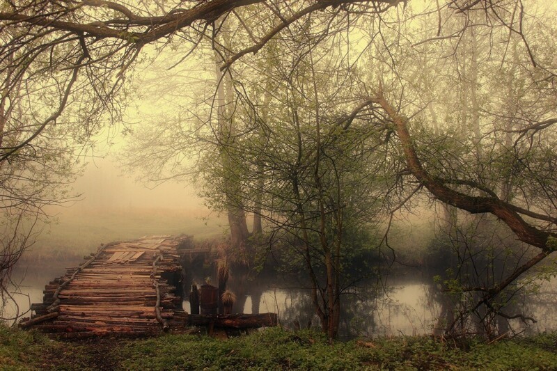 Живописные пейзажи фотографа Игоря Денисова