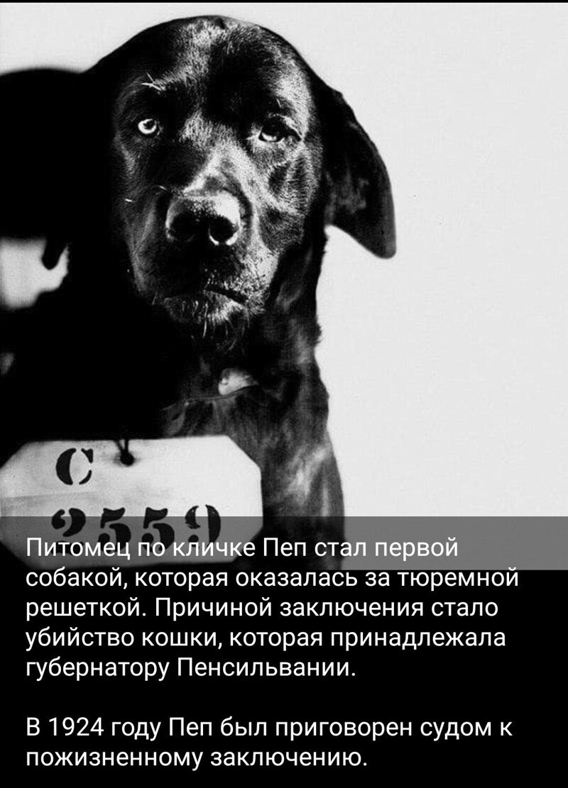 Очередной выпуск ПОЛИТСТЁБА и другого.  14.05.21