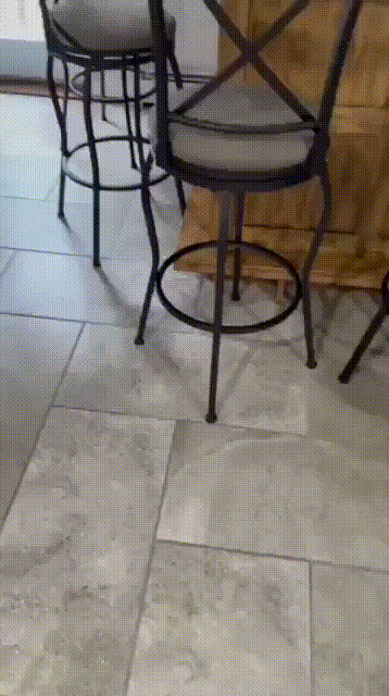 К прогулке готовы