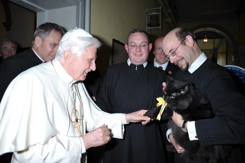 Почему католическая церковь испытывала неприязнь к кошкам