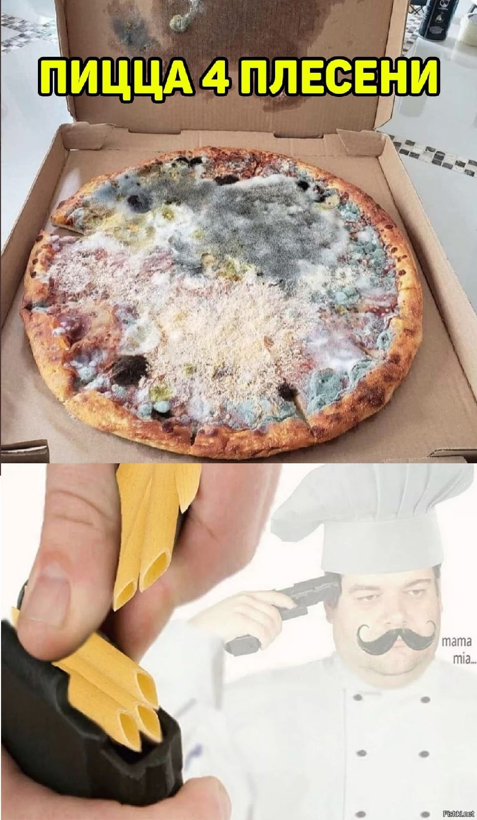 Пицца с плесенью
