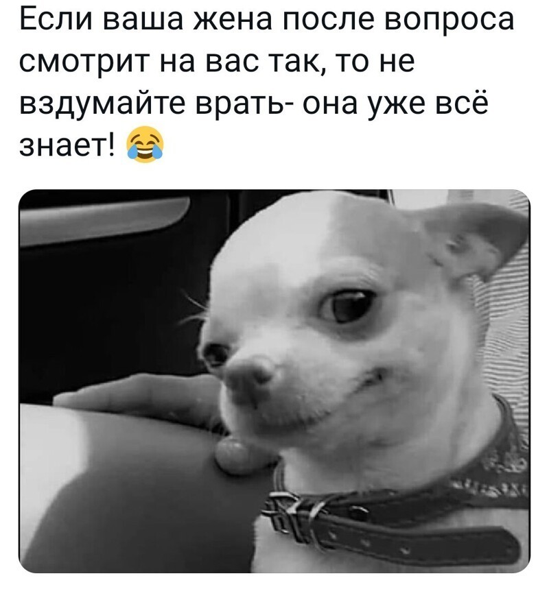 О политике с сатирой, и другое-не полит.замороченное