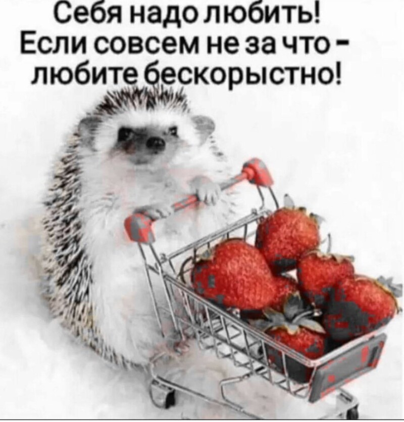 Новостной полит. обзор в сатирических тонах и другое, разное, для позитивного дня. 19.05.21