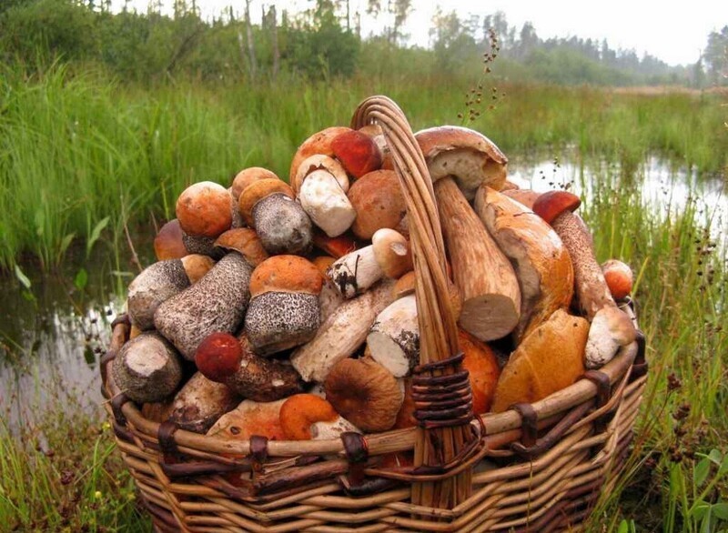 Реальное время - Индекс эмигранта: сколько стоят продукты в ЕС и России