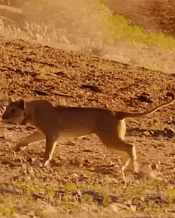 Истории о нас на позитиве, вечерний выпуск. 19.05.21