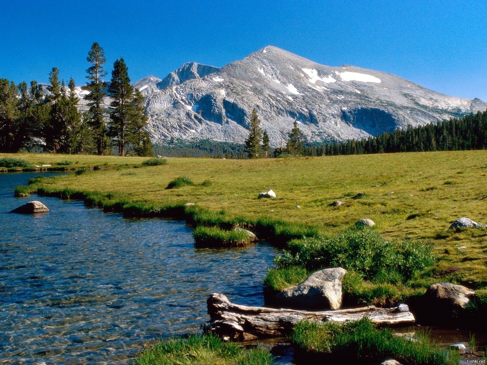 Mammoth Peak, Yosemite National Park, California