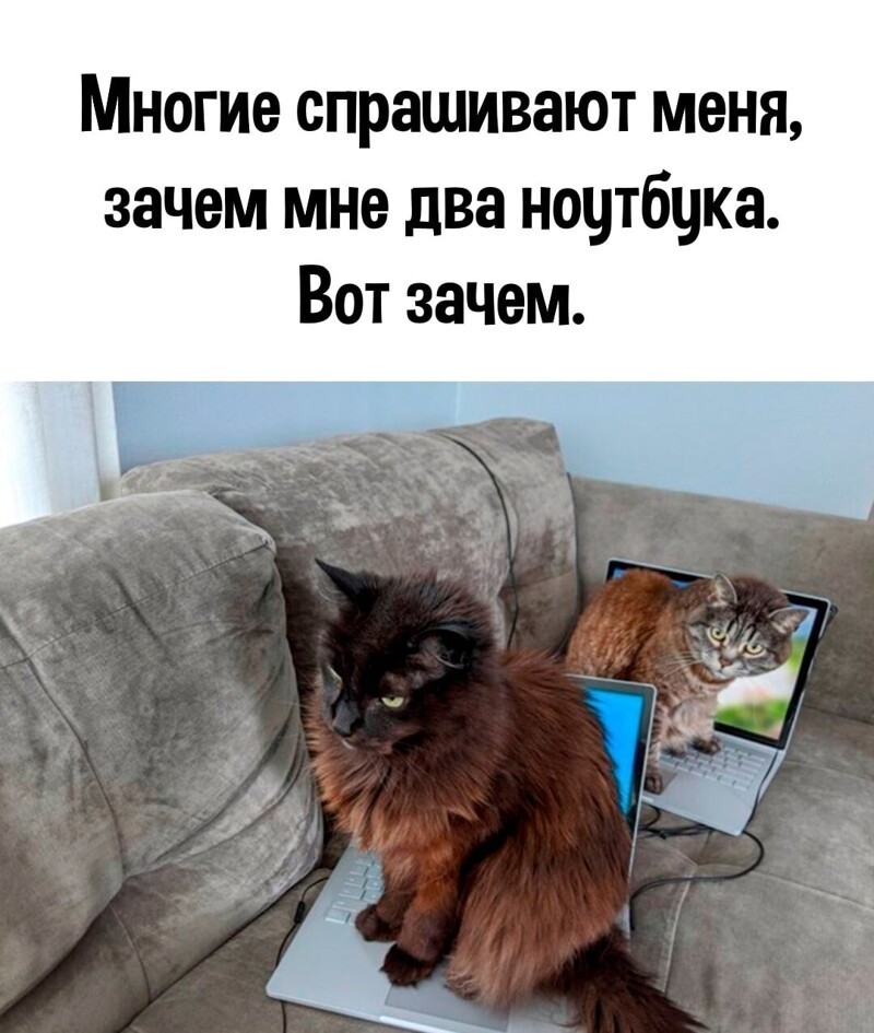 Ежедневный полит.обзор и другое на сатирической волне. 20.05.21