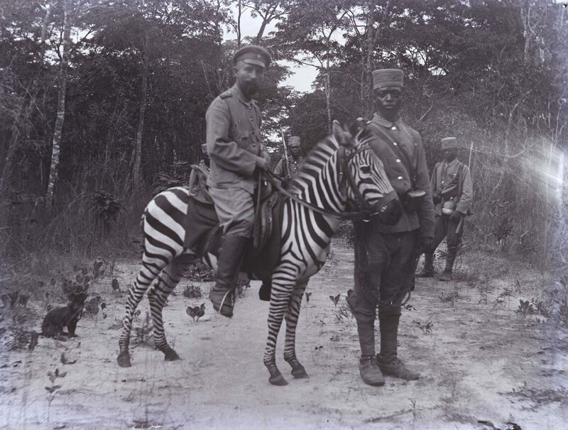 Немецкий солдат на зебре, Занзибар, 1890