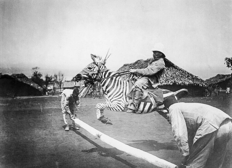 Немецкий военный-колонист на зебре, Восточная Африка, 1910