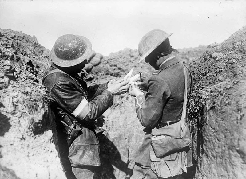 Британские солдаты отправляют записку через почтового голубя, 1917